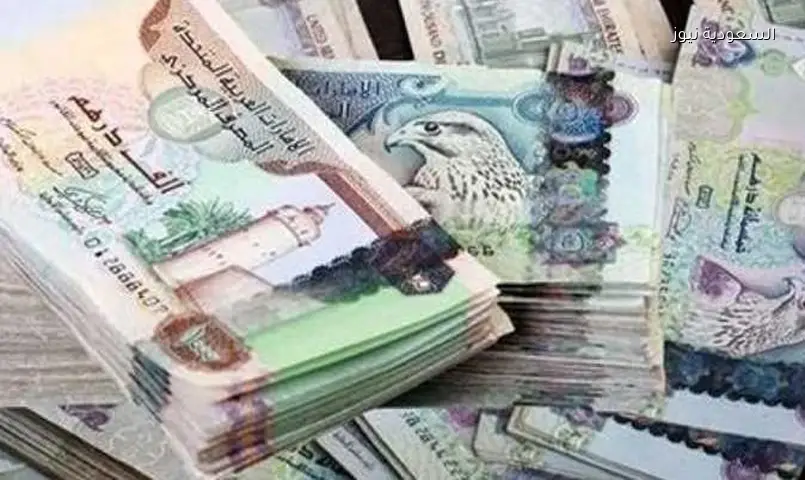 تراجع سعر الدرهم الإماراتي في مصر اليوم الثلاثاء 21-7-2026