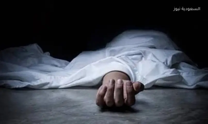 جثة في صندوق سيارة نقل ذكي بالإسكندرية: السائق يكتشف حيلة مروعة