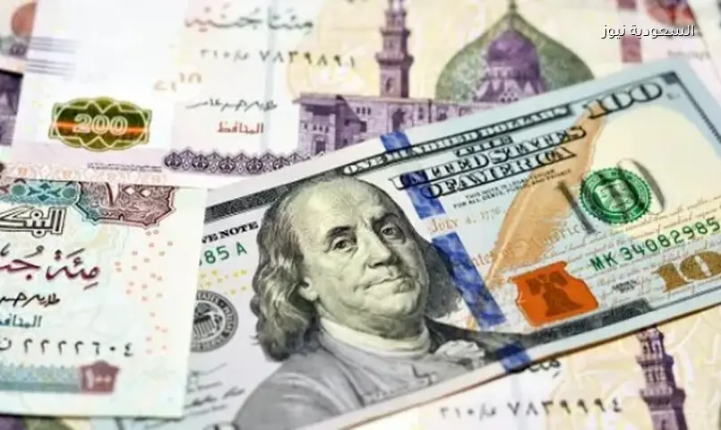 استقرار سعر الدولار في البنوك المصرية اليوم 24 يوليو 2026