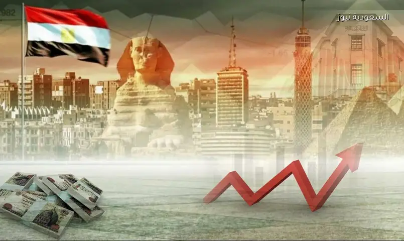 مصر وأمريكا تبحثان توسيع التعاون الاقتصادي وزيادة الاستثمارات