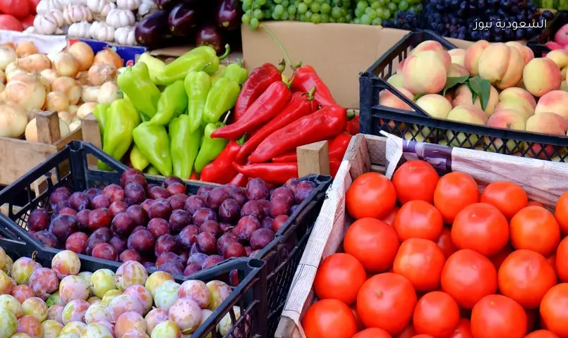 الطماطم بـ5 قروش.. أسعار الخضار والفواكه بسوق عمان المركزي اليوم