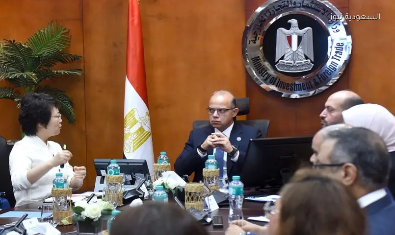 مصر تستقبل 20 مليون دولار استثمارًا صينيًا لمصنع معدات سيارات