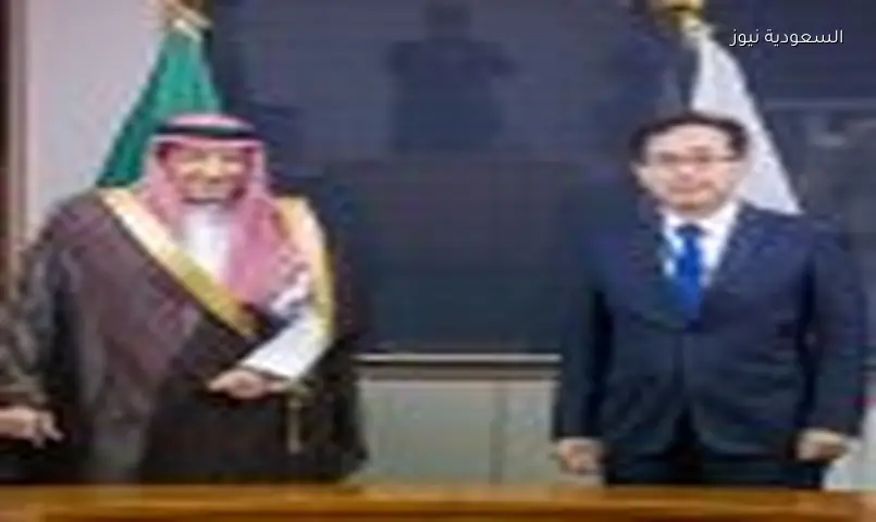 نائب وزير الخارجية ونظيره الياباني يتفقان على تعزيز العلاقات في طوكيو