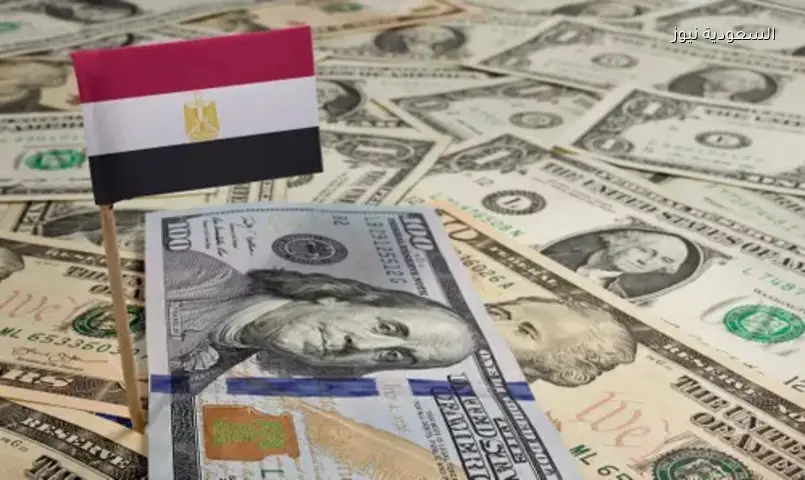 مصر: احتياطي النقد الأجنبي يسجل رقماً قياسياً جديداً 55 مليار دولار
