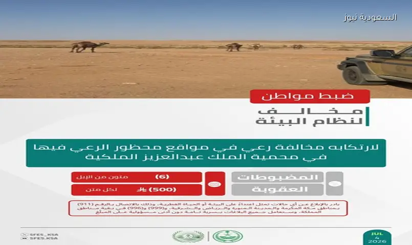 غرامة 3000 ريال لمواطن رعى 6 إبل بمحمية الملك عبدالعزيز