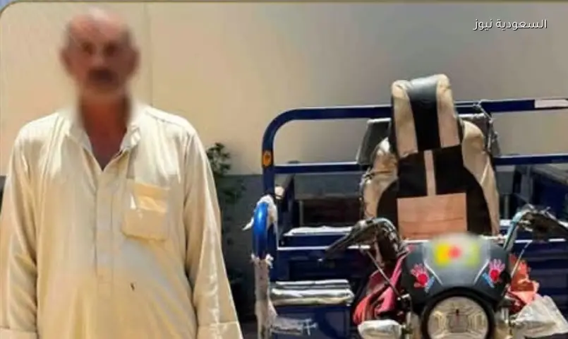 المنوفية: القبض على رجل قيد كلبين بتروسيكل وتخلى عنهما بسبب النباح
