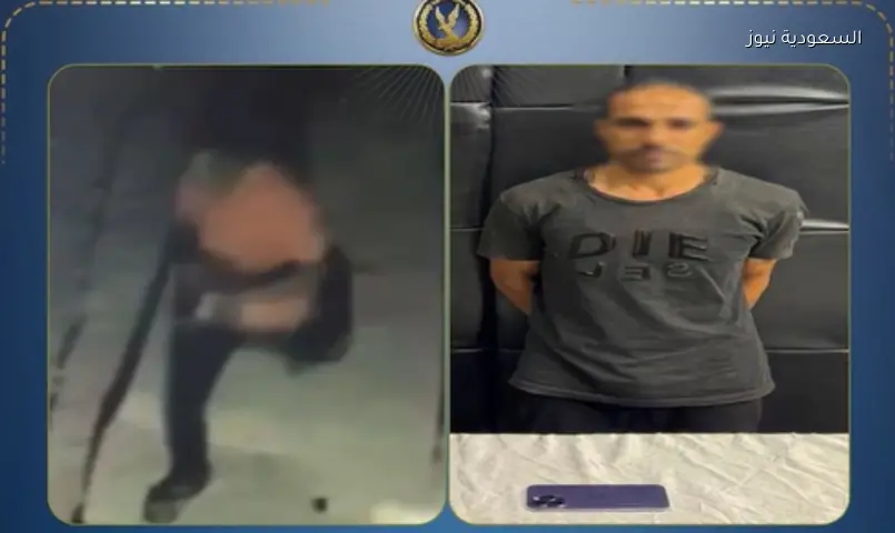ضبط سارق هاتف مدينة نصر واستعادة المسروقات بعد فيديو متداول