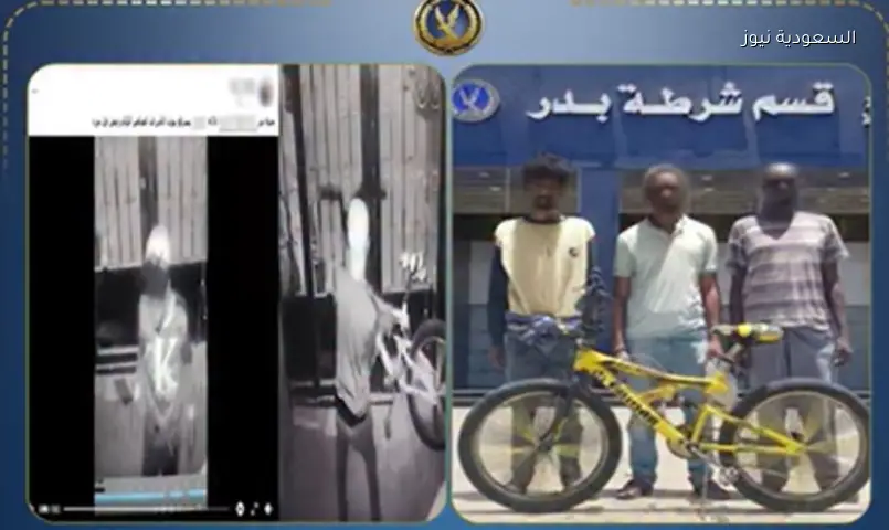 ضبط سارقي دراجة هوائية بمدينة بدر واستردادها بفضل فيديو متداول