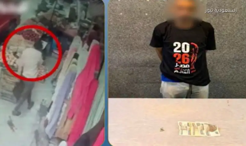 فيديو يكشف سارق بائعة خضروات بالمطرية.. والشرطة تستعيد المسروقات