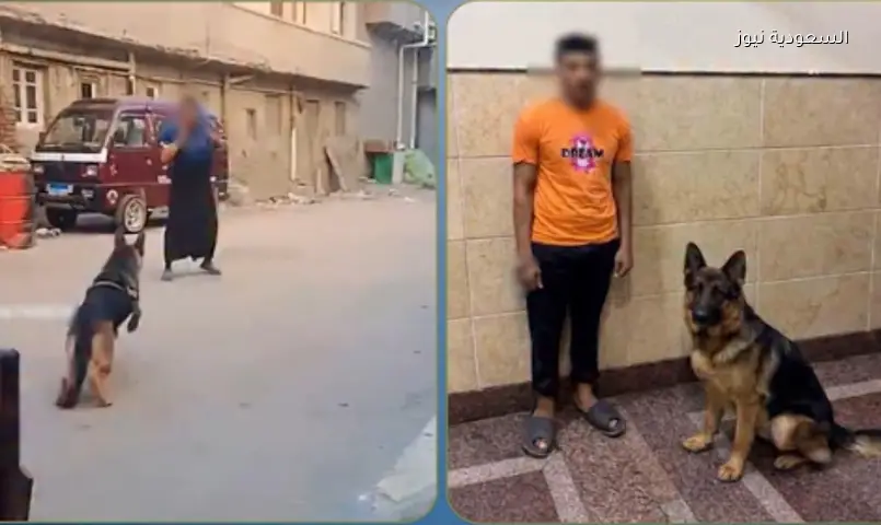 القبض على صاحب كلب دفع حيوانه لمهاجمة سيدة بالبحيرة