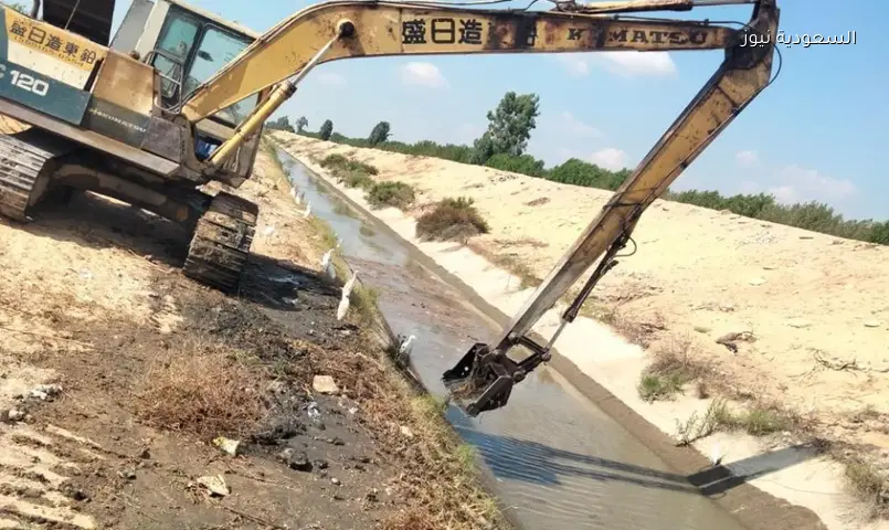 الزراعة تزيل 25 تعديًا وتحمي الأراضي الزراعية في مصر