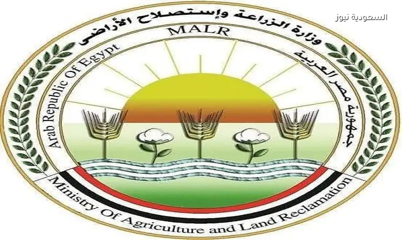 تدريب مكثف لـ 70 أخصائياً لتعزيز الثروة الحيوانية في مصر