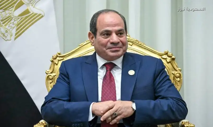 علاوات وحوافز جديدة: السيسي يقر زيادة رواتب العاملين بالدولة