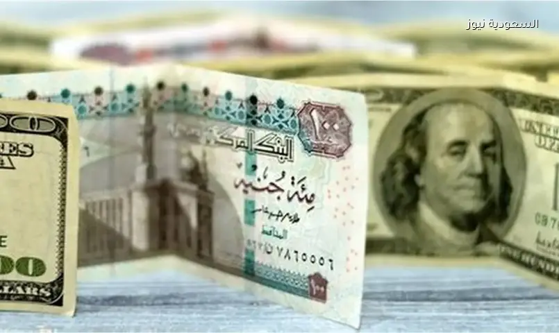 سعر الدولار اليوم 5 يوليو: استقرار أمام الجنيه المصري