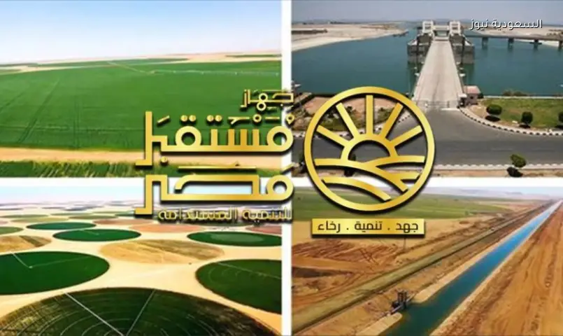 إعادة هيكلة جهاز مستقبل مصر: خطوة لدعم الاقتصاد وجذب الاستثمارات