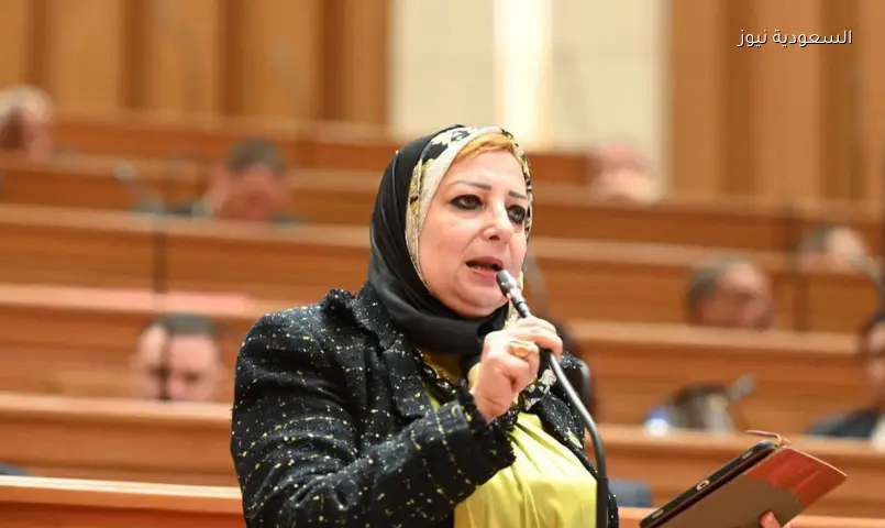 البرلمان يناقش ضوابط صرف لبن الأطفال ويطالب بتسريع جامعة ميت غمر