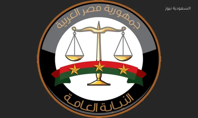 مذيعة تواجه بلاغًا للنائب العام بتهمة التحريض على قتل الكلاب الضالة