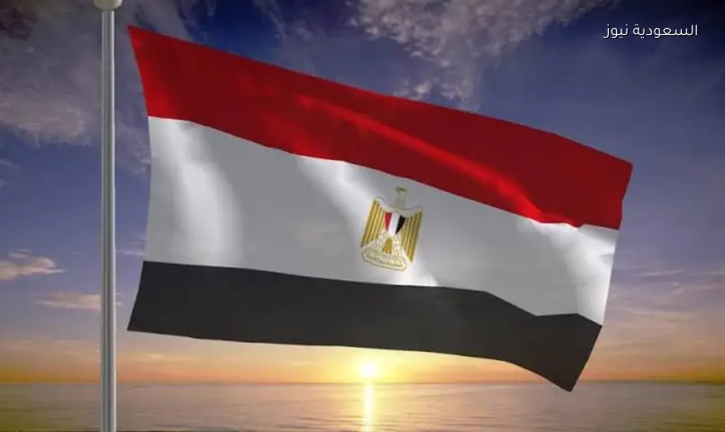 السيسي يدعو لتنشيط الأحزاب: مصر تحتاج كوادر وبرامج لا مجرد مقرات