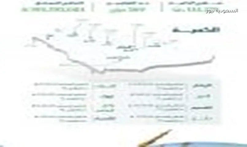 مزارعو القمح السعودي يتلقون دفعة أولى تجاوزت 199 مليون ريال