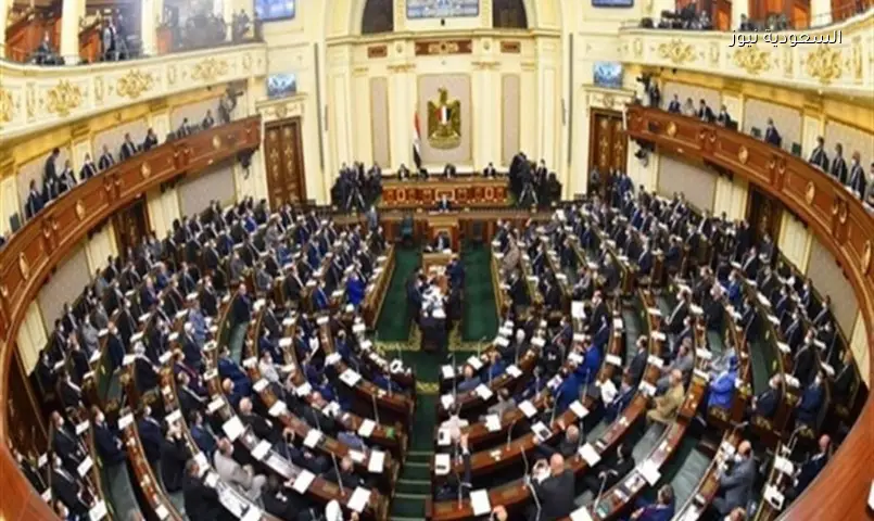 النواب يوافق مبدئياً على استقلال إداري ومالي لجهاز مستقبل مصر