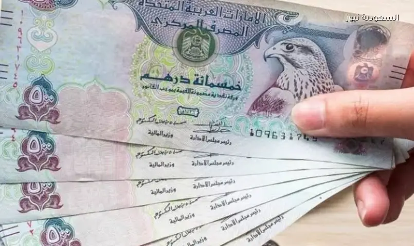 سعر الدرهم الإماراتي اليوم الجمعة: استقرار وأعلى سعر 13.44 جنيه