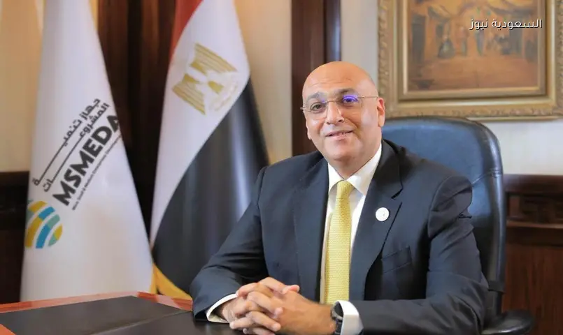 4.5 مليار جنيه من “تنمية المشروعات” لتمويل آلاف المشاريع وتوفير فرص عمل بالقاهرة