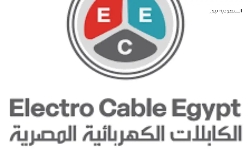 البورصة المصرية: صفقة ضخمة بـ 176 مليون جنيه على أسهم الكابلات الكهربائية