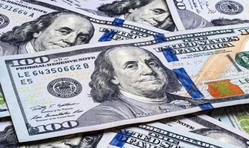 الدولار يستقر في البنوك المصرية الجمعة 3 يوليو: الأعلى بـ 49.18 جنيه