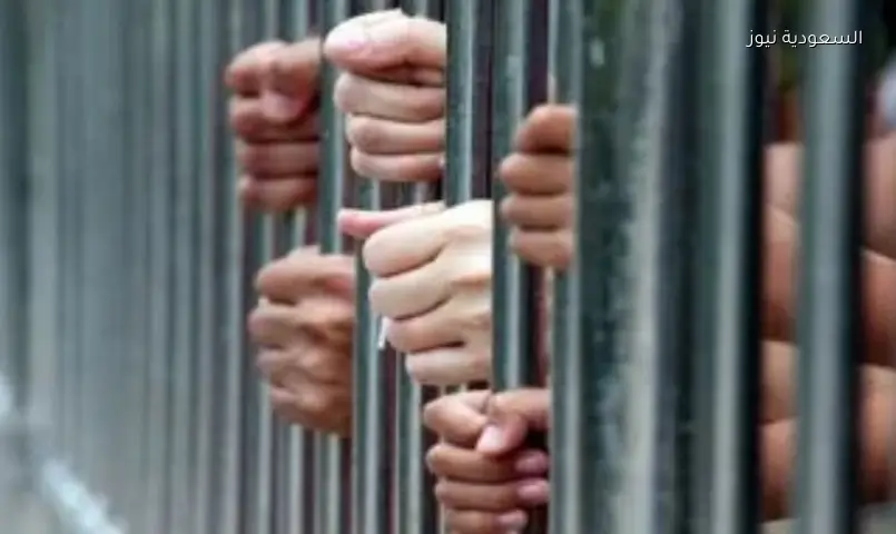 موظف سابق يخطط لسرقة مليون جنيه من مندوب شحن في أكتوبر: القبض على 3