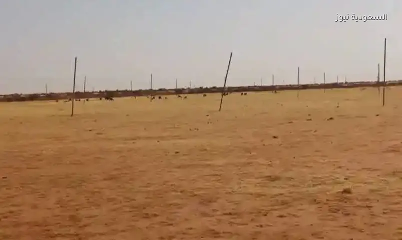 فرصة استثمارية بالقاهرة الجديدة: أراضٍ طبية وتعليمية وتجارية متاحة للحجز حتى 15 يوليو