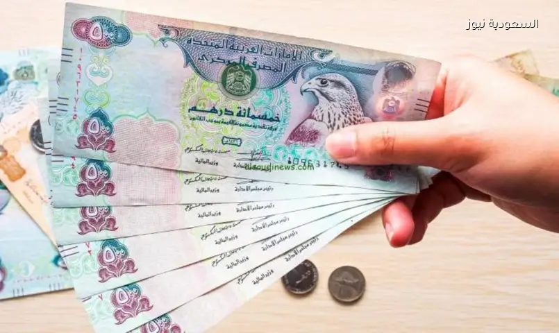 سعر الدرهم الإماراتي اليوم الأحد: 13.44 جنيه أعلى سعر بيع في هذا البنك