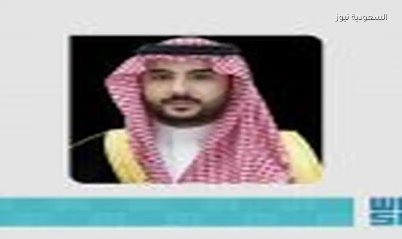 وزيرا دفاع السعودية وتركيا يبحثان التعاون وجهود السلام