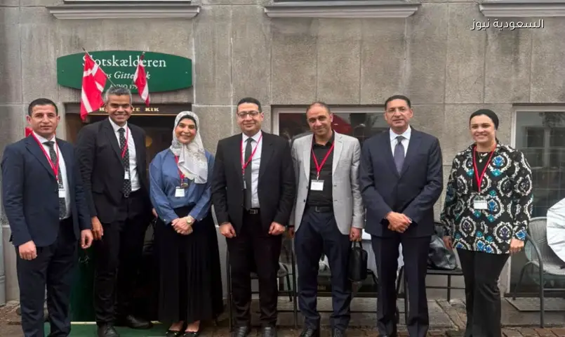 وفد مصري رفيع في الدنمارك لتعزيز القدرات بملف الهجرة واللجوء