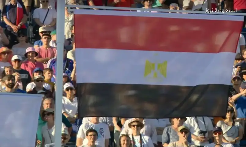 علم مصر يظهر في نهائي كأس العالم الذي شهد خسارة الأرجنتين
