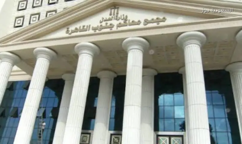 غداً: محاكمة سائق متهم بالتحرش بسائحة إيطالية والتبول علناً بالقاهرة
