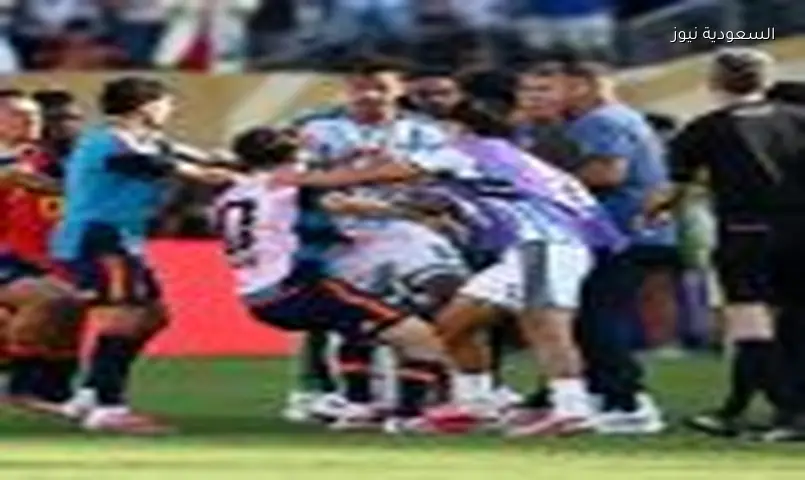 فيفا يحقق في مشادات نهائي كأس العالم بين إسبانيا والأرجنتين