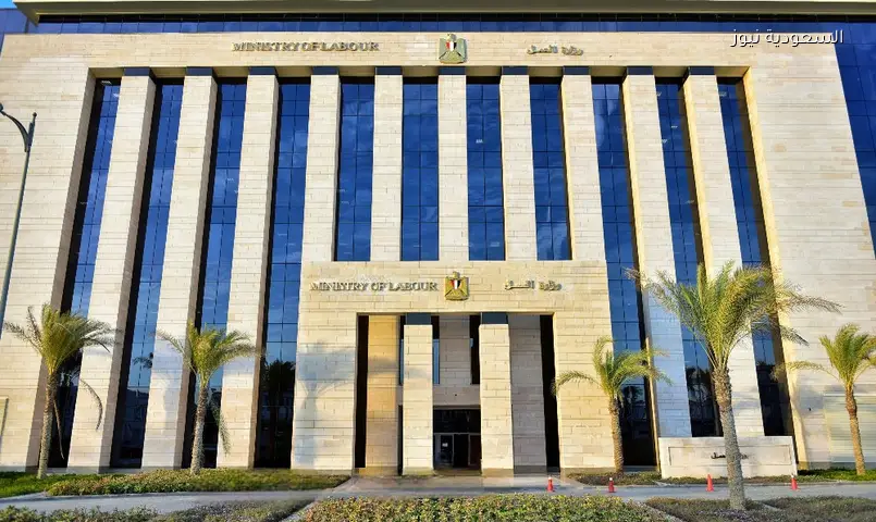 كعب العمل إلكترونياً: استخرجه الآن بخطوات بسيطة عبر الإنترنت