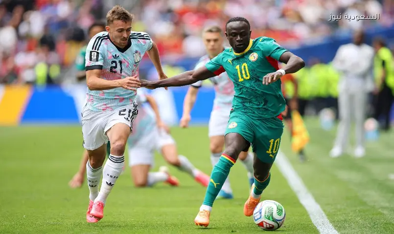مطاردة جنونية لمشجع اقتحم مباراة بلجيكا والسنغال بكأس العالم