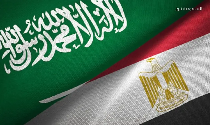 استثمارات بمليارات الدولارات: 5 سعوديين يقودون المشهد في مصر حتى 2026