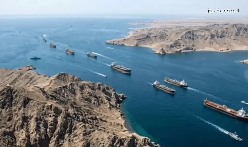 مصر تدين استهداف ناقلة سعودية في هرمز: انتهاك للقانون الدولي