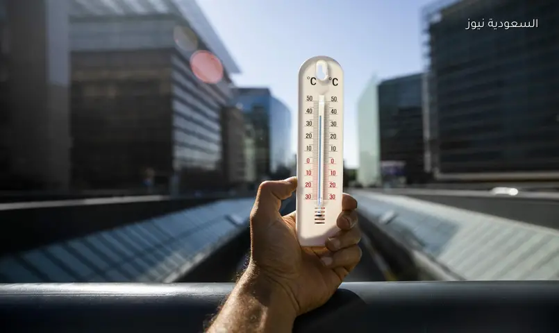 موجة حر قياسية تقتل 1222 شخصًا في بلجيكا: حصيلة الوفيات الأعلى منذ كورونا