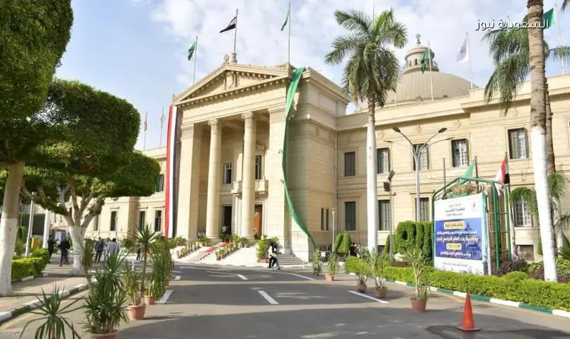 مصر: استراتيجية وطنية تخلق 1.4 مليون وظيفة رقمية وتدعم الشباب