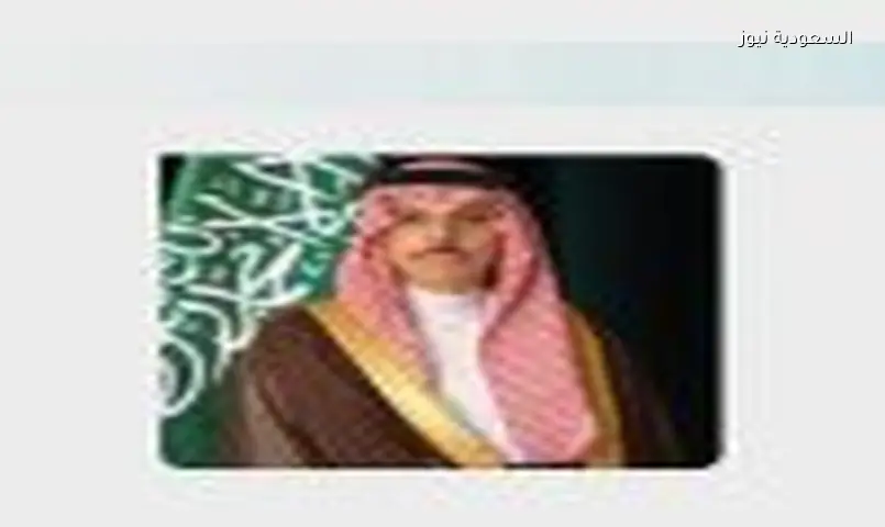 وزير الخارجية يناقش مستجدات المنطقة مع نظيره العُماني هاتفيًا