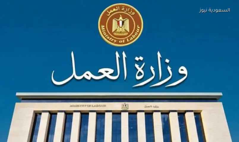 احتيال بمنحة العمالة: وزارة العمل تحذر من صفحات مزيفة وتوضح آلية الصرف