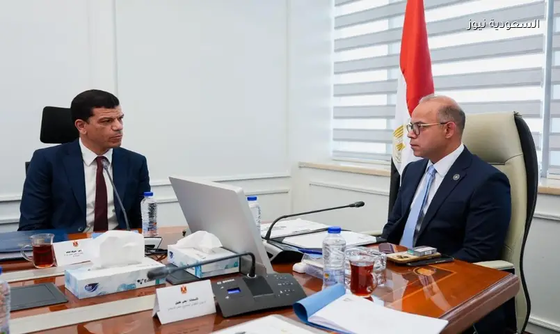 EVRAID تخطط لتصنيع أنظمة وبطاريات المركبات الكهربائية في مصر