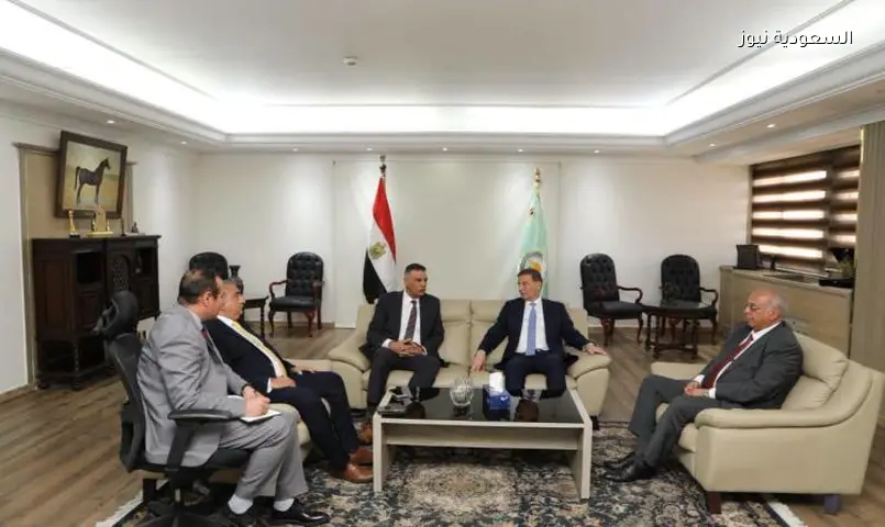 جنوب سيناء تتجه لتوسعات كبرى في زراعة النخيل والزيتون