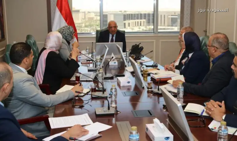 الوادي الجديد: خطط طموحة للاعتماد على الطاقة الشمسية وتخزين الكهرباء