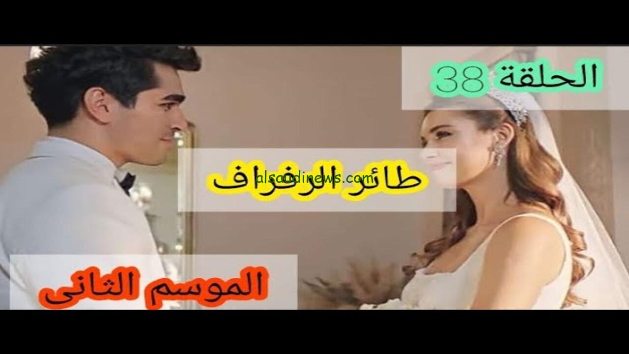 مسلسل طائر الرفراف الحلقة 38 مترجمة للعربية Dailymotion
