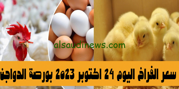 سعر الفراخ اليوم 24 اكتوبر