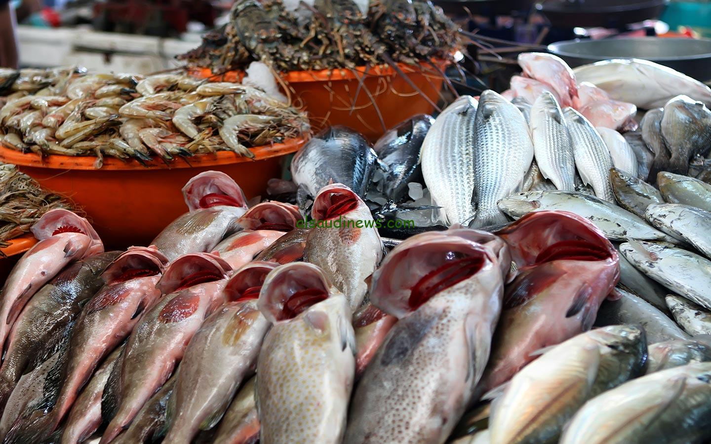 أسعار السمك اليوم السبت 27 يناير